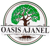 Logo Footer